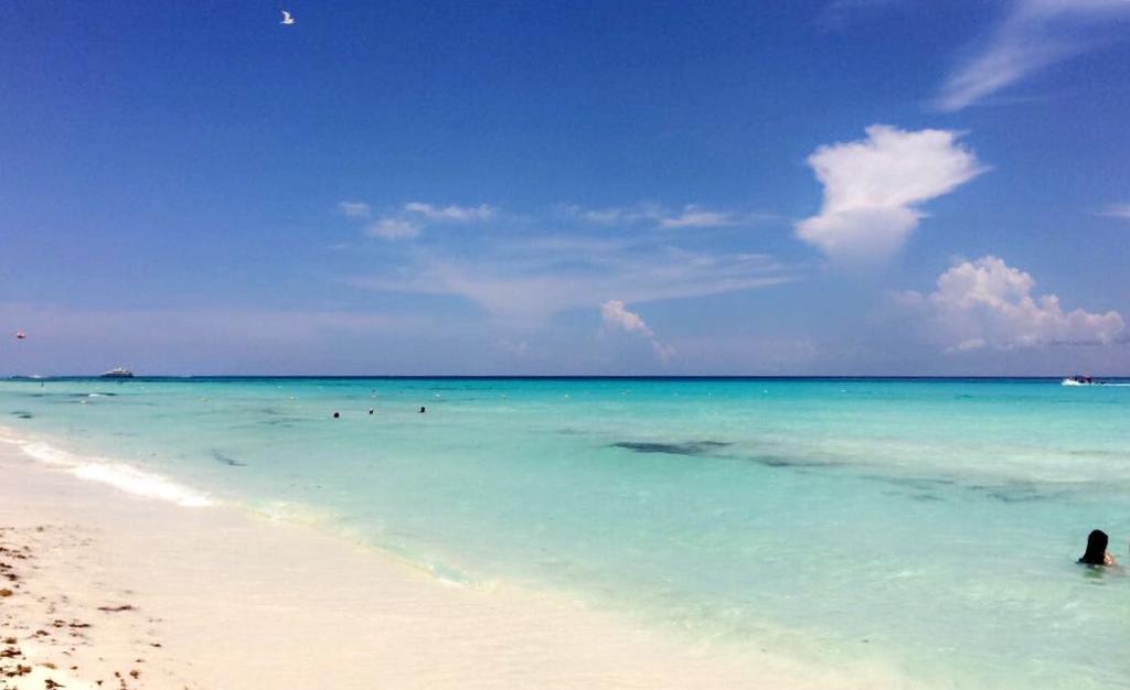 Luxury 5Th Avenue Menesse 32 Appartement Playa del Carmen Buitenkant foto