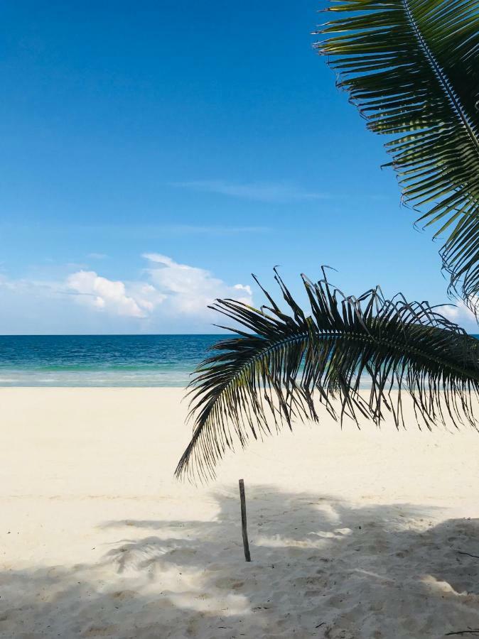 Luxury 5Th Avenue Menesse 32 Appartement Playa del Carmen Buitenkant foto